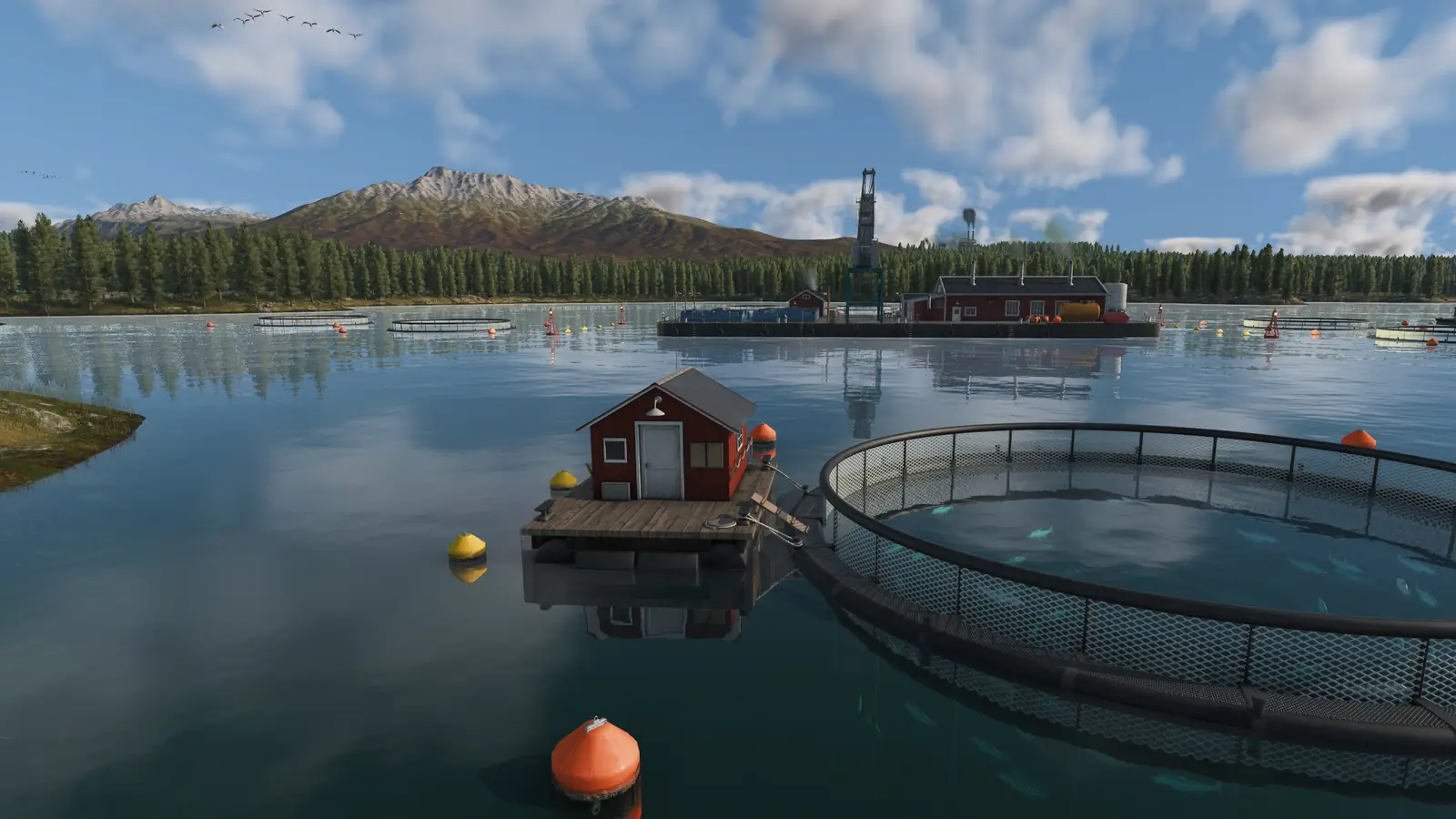 A Transport Fever 3 fishing ground: a round fish pen with fish inside, a red hut on a floating platform and a larger platform with a crane, in a bay below pine forests and snowy mountains